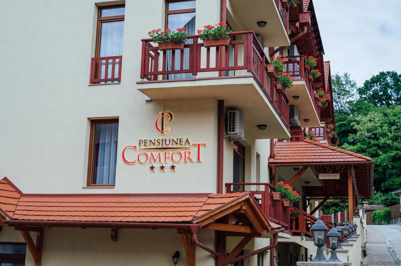 Pensiunea Comfort 索瓦塔 外观 照片